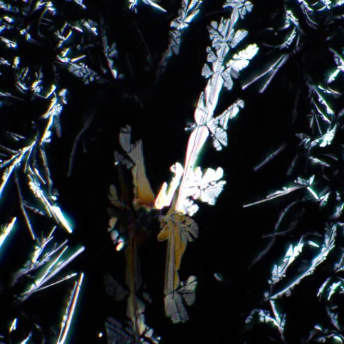 снимка комплект поляризатор/анализатор MAGUS SPD1,  7