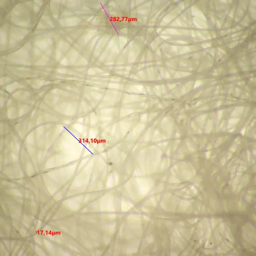 снимка цифров стереомикроскоп MAGUS Stereo D9T,  24