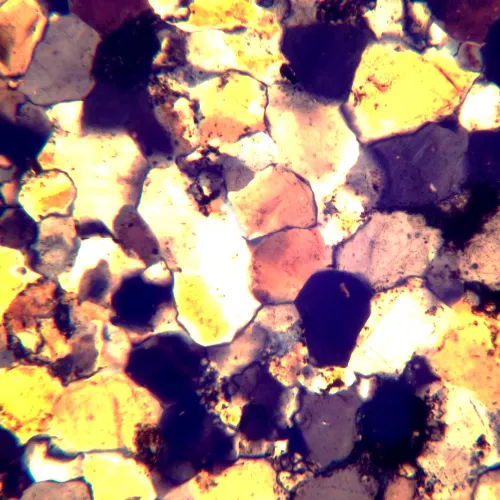 снимка поляризационен цифров микроскоп MAGUS Pol D800,  22