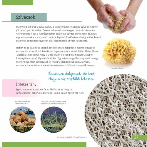 изображение познавателна книга „Невидимият свят“,  3