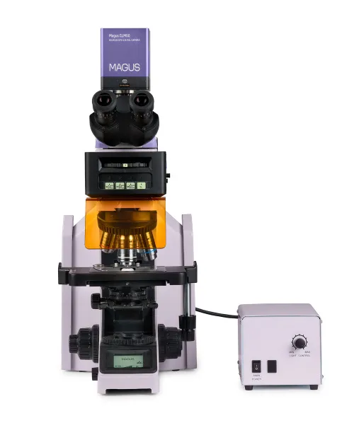 картинка флуоресцентен цифров микроскоп MAGUS Lum D470L,  9