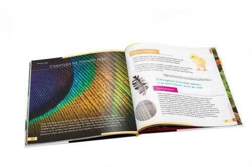 снимка познавателна книга „Невидимият свят“. С твърди корици,  10